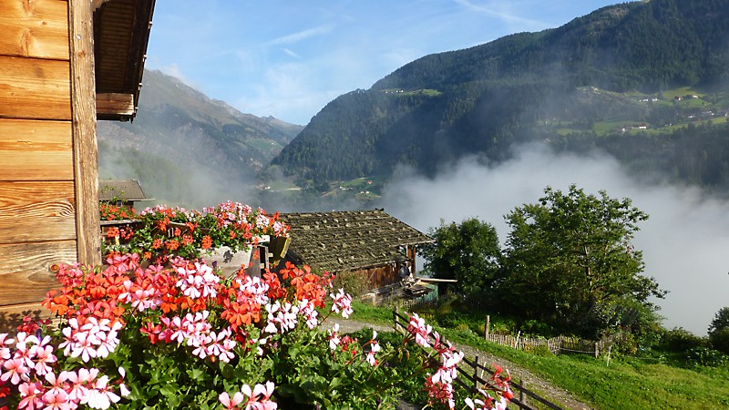 Ferienhaus Saldern richtung Timmelstal Blick von Saldern richtung Timmelstal